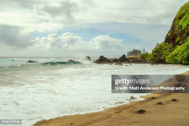 hamoa beach #2 - castaway island fiji stock pictures, royalty-free photos & images