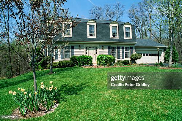 house - large grass area stock pictures, royalty-free photos & images