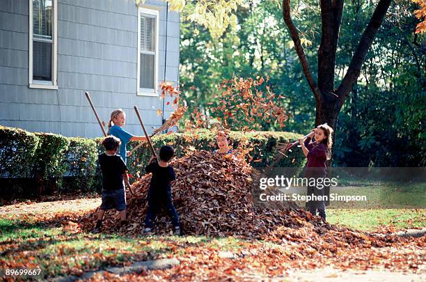 Children In Fall Rake Stephen Rakes Photos and Premium High Res Pictures - Getty Images