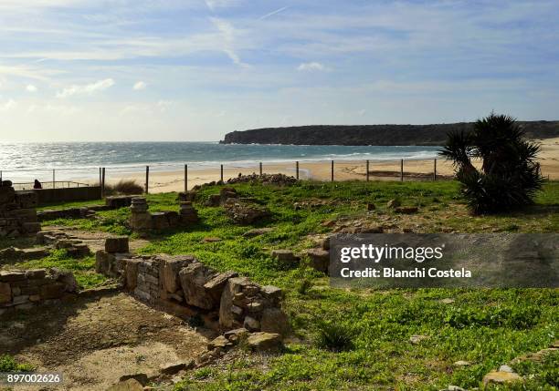 ruins of baelo claudia - baelo claudia stockfoto's en -beelden