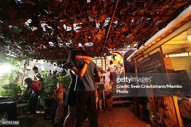 Visitors stand under an artwork by Elizabeth Cervino, where sunlight shines through a roof of leaves to reveal words, called "Luz toca la tierra,...