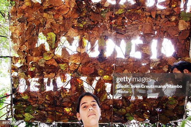 Sunlight shines through a roof of leaves as artist Elizabeth Cervino poses for a portrait under her work "Luz toca la tierra, semilla brota flor, en...