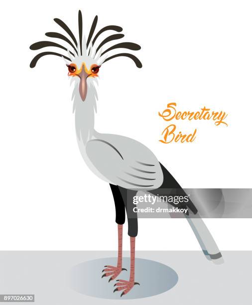 stockillustraties, clipart, cartoons en iconen met secretaris vogels - secretarisvogel