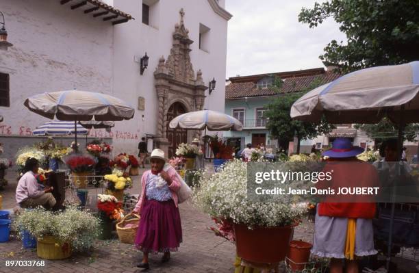Vendeuses sur le marche au fleurs de Cuenca, en fevrier 1995.