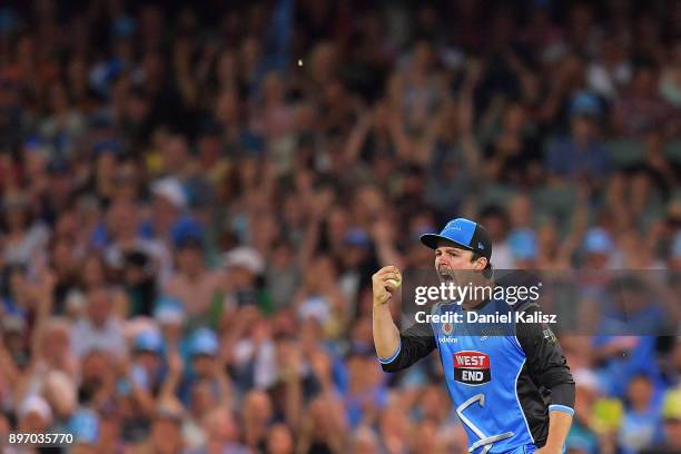 Travis Head of the Adelaide Strikers reacts after taking a catch to dismiss Aiden Blizzard of the Sydney Thunder during the Big Bash League match...