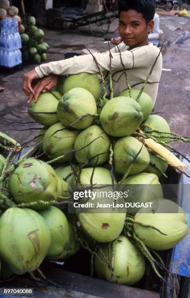 Jeune vendeur de noix de coco a Battambang, Cambodge.