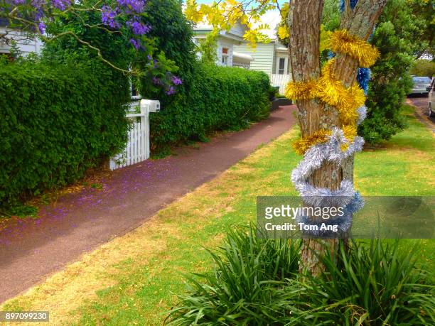 street in quiet residential area of central auckland. - auckland light path stock pictures, royalty-free photos & images