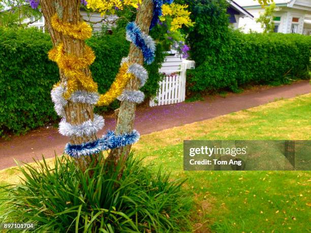 street in quiet residential area of central auckland. - auckland light path stock pictures, royalty-free photos & images