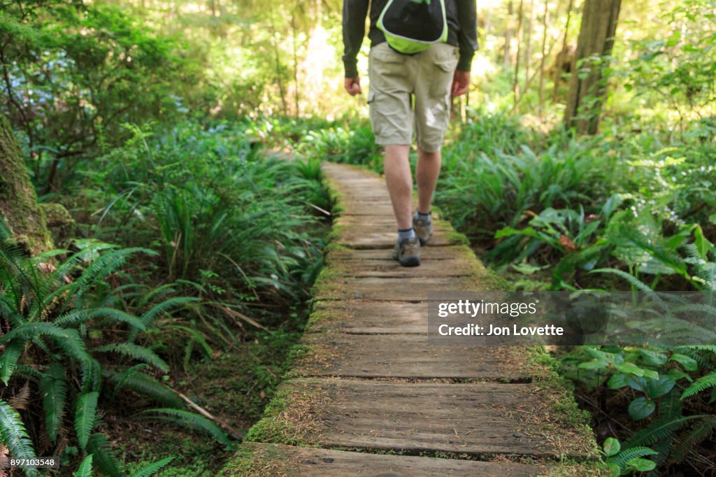 Hiker on Cape Alava Trail Boardwalk