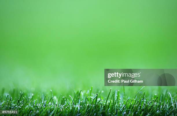 General view of the green grass on the pitch during the Bobby Moore Cup between West Ham United and Napoli at Upton Park on August 8, 2009 in London,...