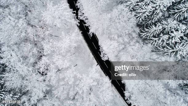 weg door winterse bos - luchtfoto - snow covered road stockfoto's en -beelden
