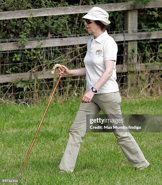 Princess Anne, The Princess Royal uses a walking stick as she strolls around The Festival of British Eventing held on her country estate at Gatcombe...