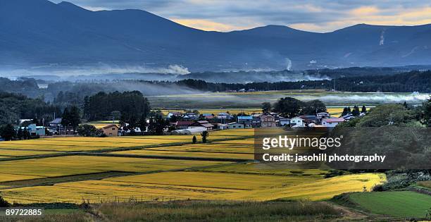 burning rice fields  - hachimantai stock pictures, royalty-free photos & images