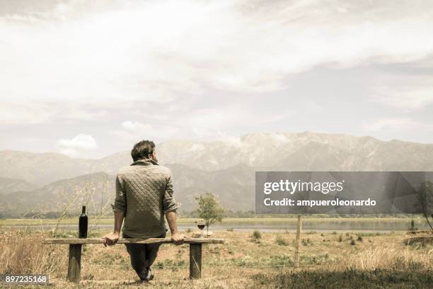 experiencia de vino chileno - macho fotografías e imágenes de stock