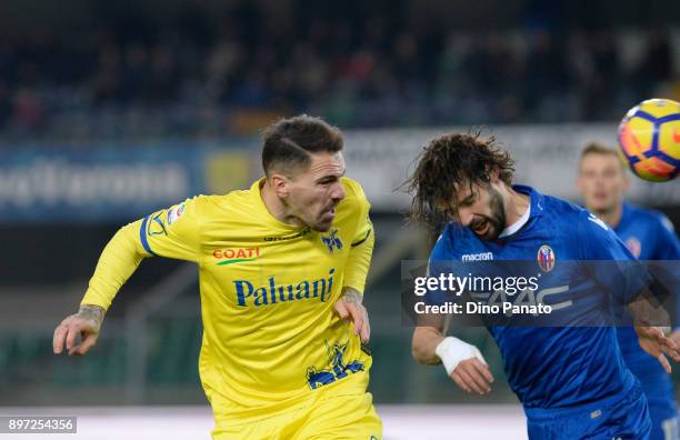 Fabrizio Cacciatore of AC Chievo Verona competes with Andrea Poli of Bologna FC during the serie A match between AC Chievo Verona and Bologna FC at...