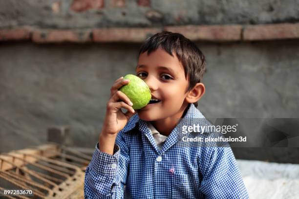 niño comiendo fruta en casa - guayaba fotografías e imágenes de stock