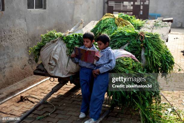 preparation for exam ! - indian boy standing stock pictures, royalty-free photos & images