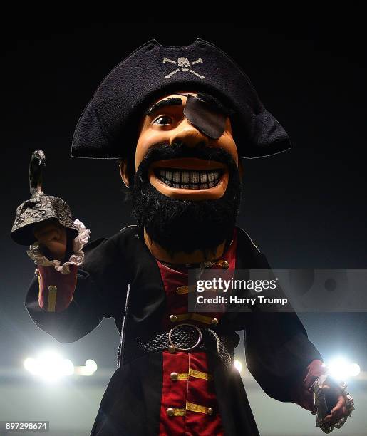 Detailed view of the Cornish Pirates mascot during the Greene King IPA Championship match between Bristol Rugby and Cornish Pirates at Ashton Gate on...