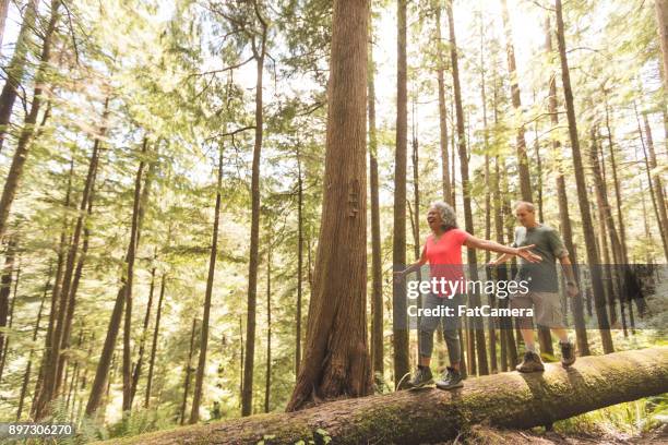 senior paar op een dag wandelen in het bos - men balancing stockfoto's en -beelden