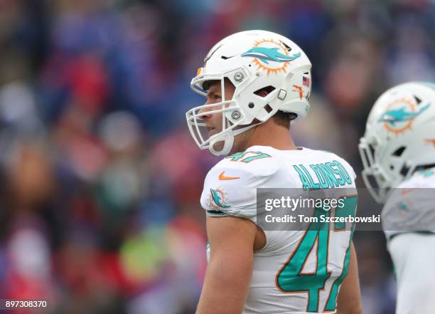 Kiko Alonso of the Miami Dolphins looks on during NFL game action against the Buffalo Bills at New Era Field on December 17, 2017 in Buffalo, New...