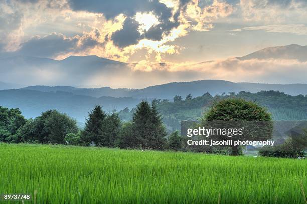 the rolling mountains of hachimantai - hachimantai stock pictures, royalty-free photos & images