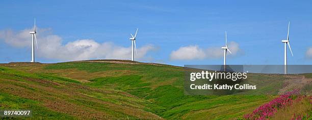 green knowes windfarm, scotland - kathy hill 個照片及圖片檔