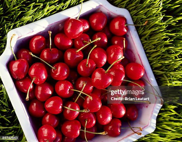 cherries on grass - bing cherry stock pictures, royalty-free photos & images