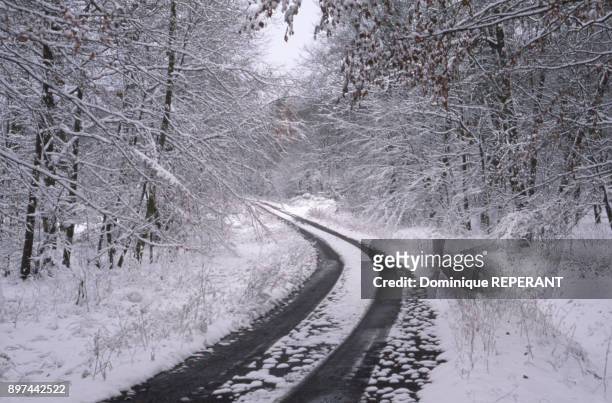 La Petite-Pierre sous la neige, dans le Bas-Rhin, France. Route enneigee dans le parc naturel des Vosges du Nord.