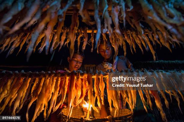 Two children are dry fish processing at Dubla Island located at the southern border of the Sundarban facing the Bay of Bengal of Bangladesh. Their...