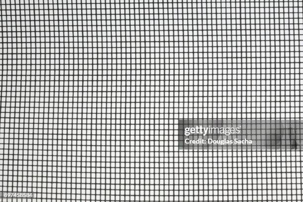 full frame of window mesh screen material - netz textilien stock-fotos und bilder