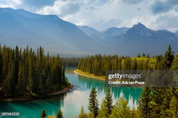 bow river, canadian rockies - bow river stock pictures, royalty-free photos & images