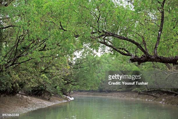 The Sundarbans, a UNESCO World Heritage Site and a wildlife sanctuary. The largest littoral mangrove forest in the world, it covers an area of 38,500...
