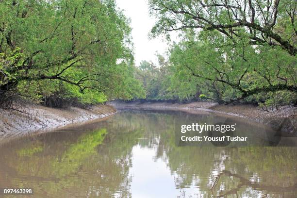 The Sundarbans, a UNESCO World Heritage Site and a wildlife sanctuary. The largest littoral mangrove forest in the world, it covers an area of 38,500...