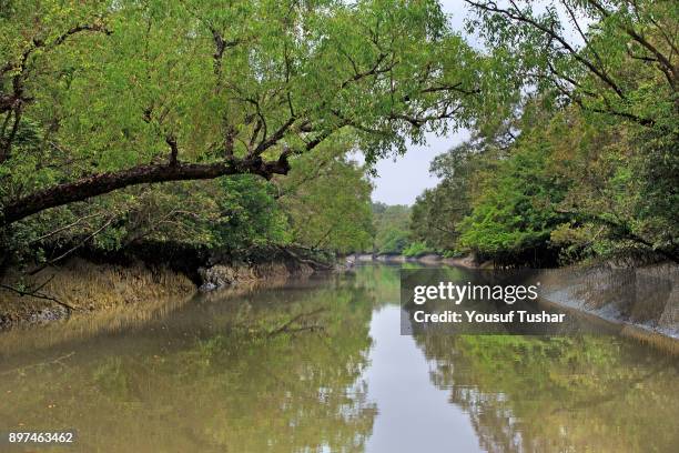 The Sundarbans, a UNESCO World Heritage Site and a wildlife sanctuary. The largest littoral mangrove forest in the world, it covers an area of 38,500...