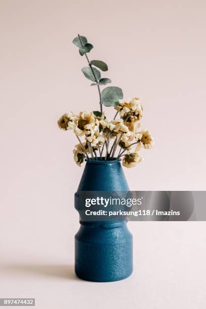dry flowers in a vase - yoghurt pot stock pictures, royalty-free photos & images