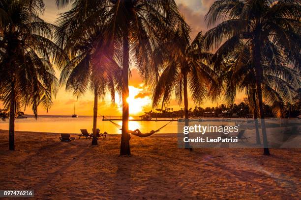 relaxing on hammock after a beach day in the caribbean - cayman islands - grand cayman stock pictures, royalty-free photos & images