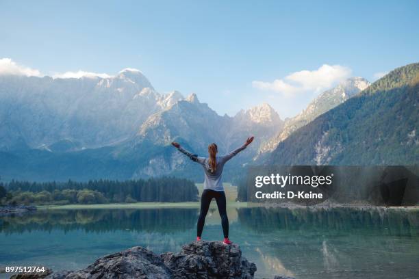 success - arms raised mountain stock pictures, royalty-free photos & images