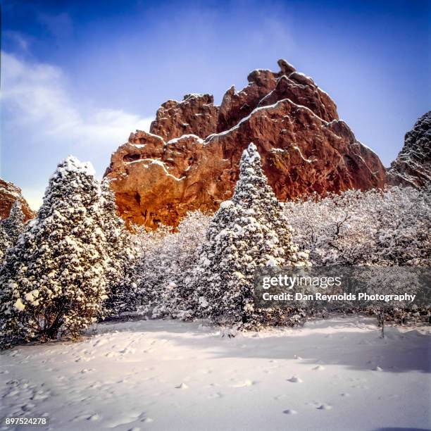 garden of the gods, national natural landmark, colorado,usa - garden of the gods foto e immagini stock