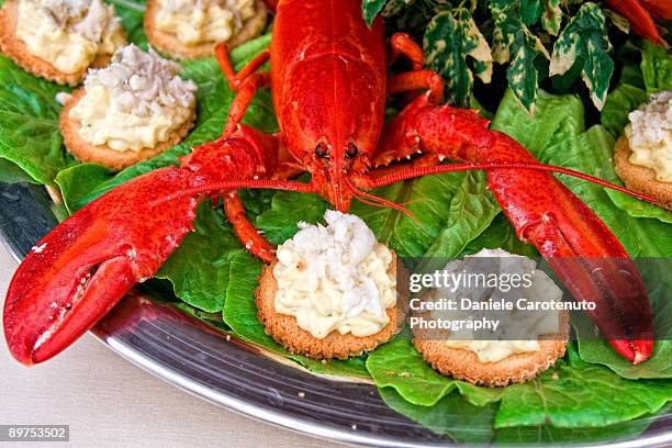 hugging lobster - daniele carotenuto fotografías e imágenes de stock