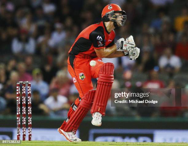 Cameron White of the Renegades is hit in the groin during the Big Bash League match between the Melbourne Renegades and the Brisbane Heat at Etihad...