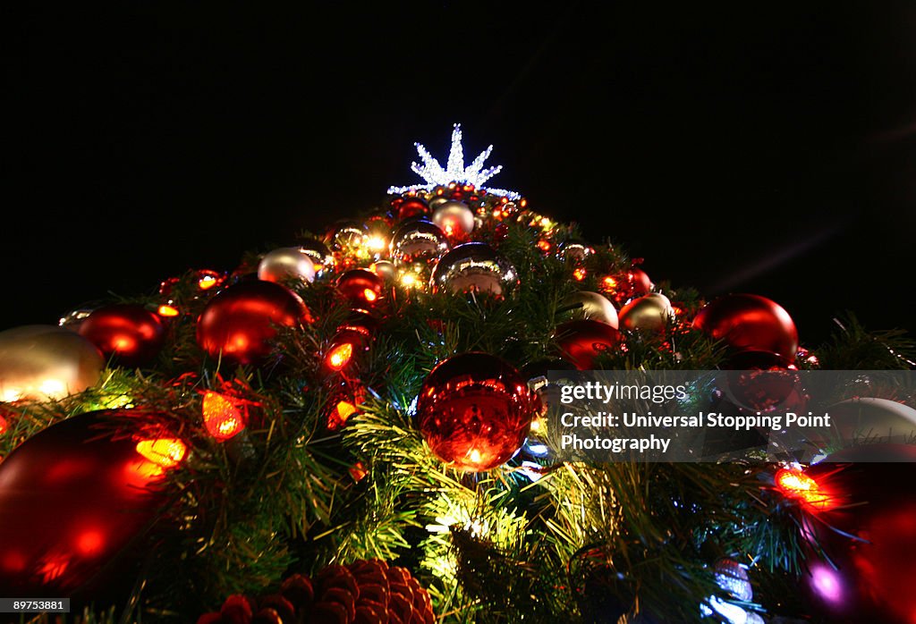 Joy to the World