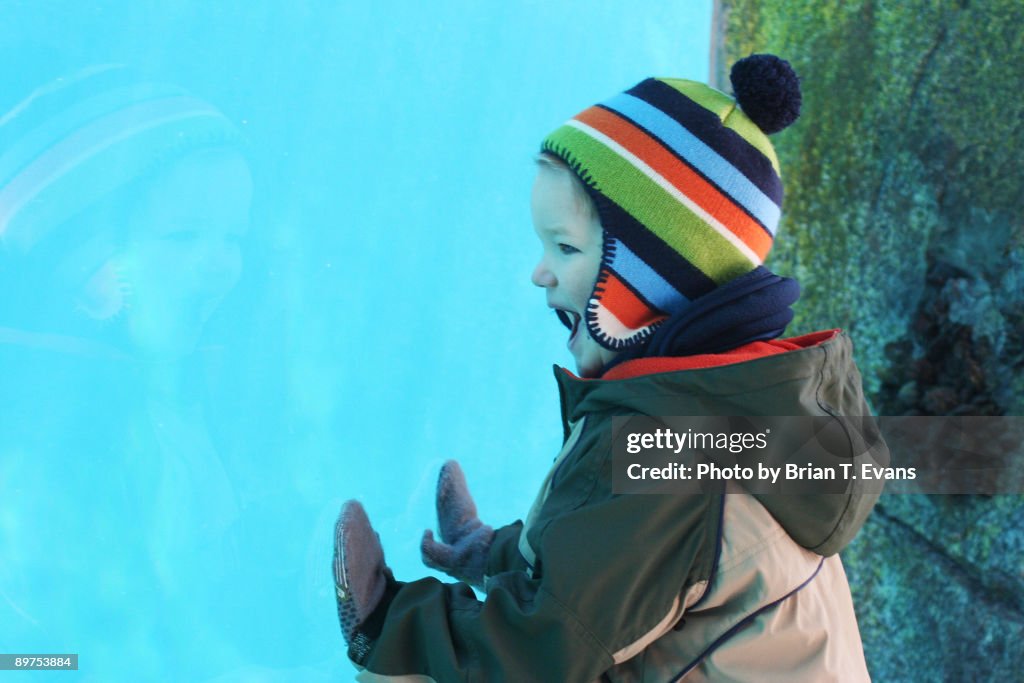 Happy Boy at the Aquarium