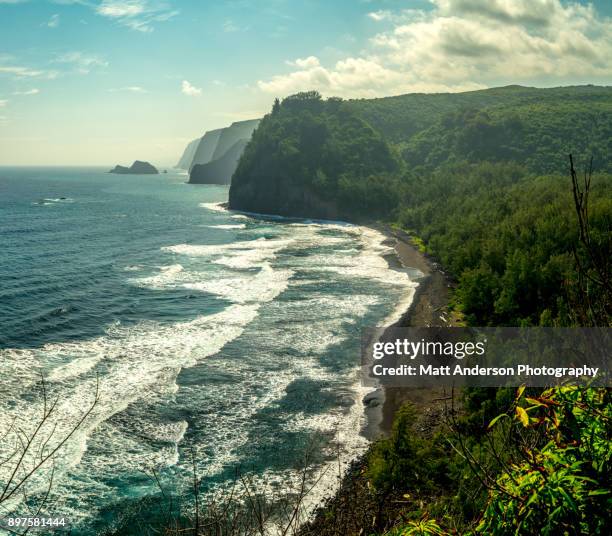 pololu valley #1 - waimea valley 個照片及圖片檔