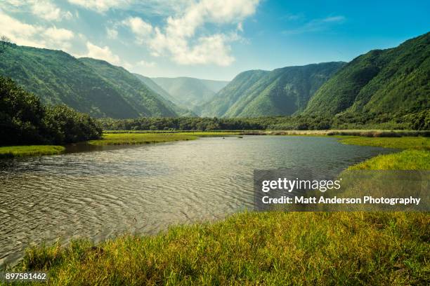 pololu valley #2 - waimea valley stock pictures, royalty-free photos & images