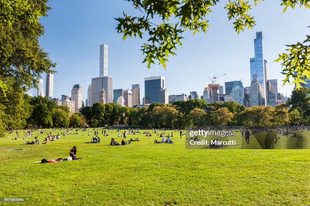 Central Park Sheep Meadow New York City High-Res Stock Photo - Getty Images