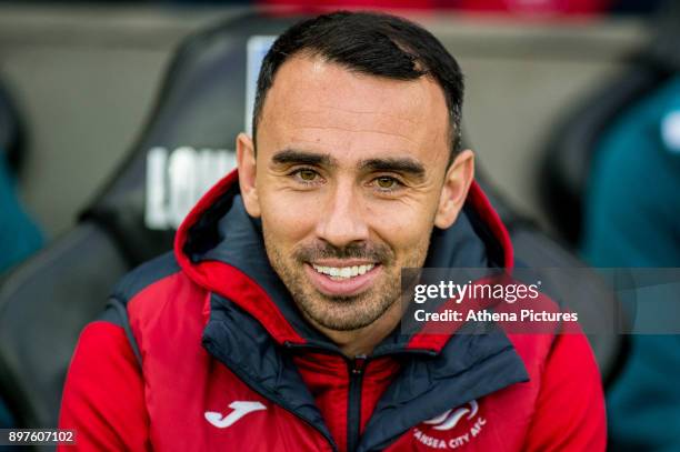 Swansea City caretaker Manager, Leon Britton, looks on during the Premier League match between Swansea City and Crystal Palace at The Liberty Stadium...