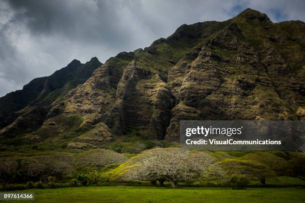 「ジュラシック ・ パーク」が撮影された、ハワイ ・ オアフ島で有名なクアロア牧場での山並み。 - クアロア公園 ストックフォトと画像