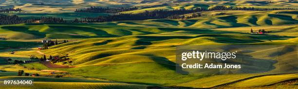 panoramic view of rolling landscape of wheat fields and red barns - palouse imagens e fotografias de stock