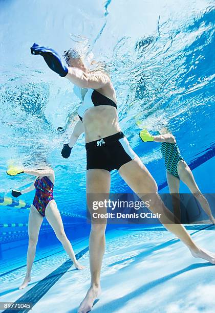 women exercising in swimming pool. - aquarobics stock-fotos und bilder