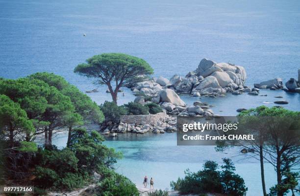 La plage de Palombaggia, en Corse-du-Sud, en juin 2003, France.